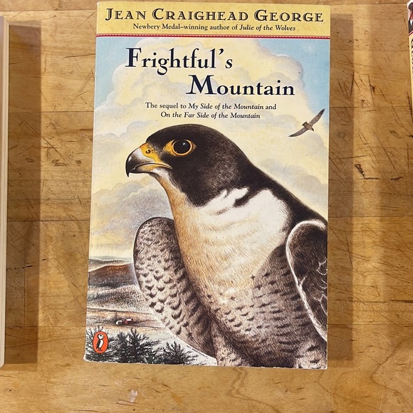 Jean Craighead George: My Side of the Mountain series - Picture 3 of 4